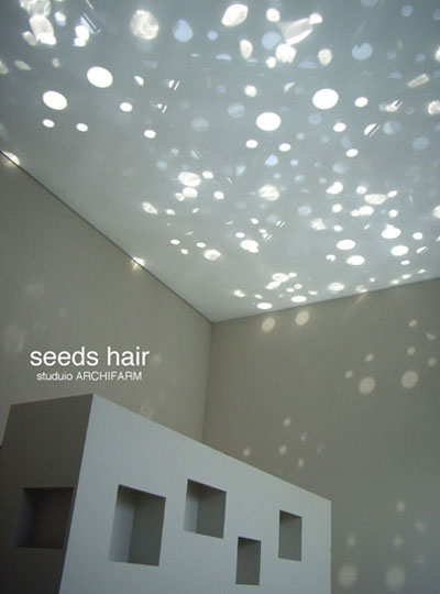 seeds hair